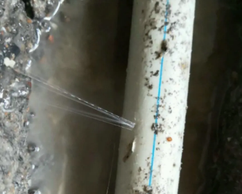 新昌卫生间测漏水多少钱