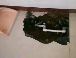 新昌卫生间测漏水多少钱